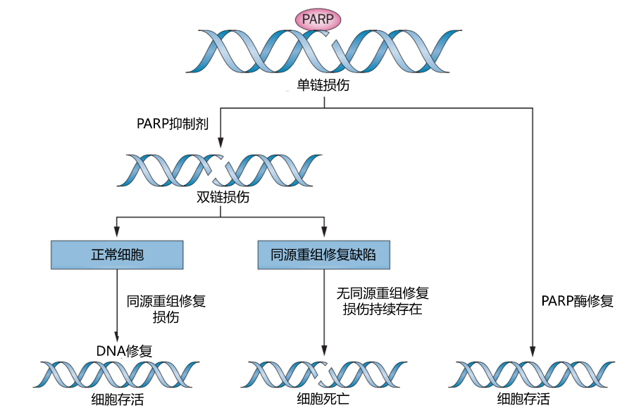 微信图片_20230309153459.png